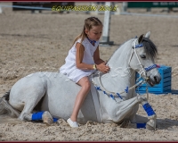 1-13JUIN 0978